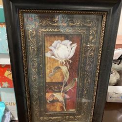 Roses in a Picture frame