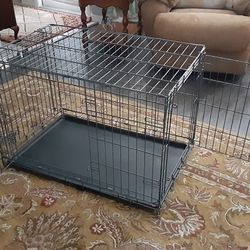 * PUPPY POTTY TRAINER *