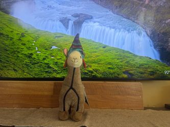 Land of llamas jumbo dog toy