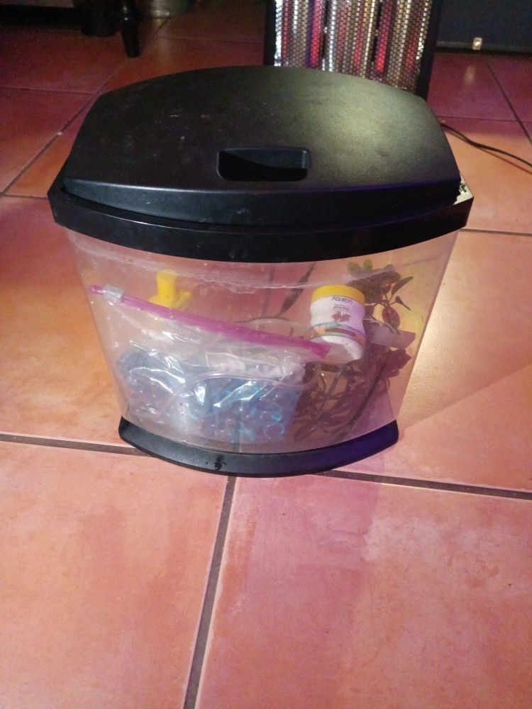 Betta Fish Tank Aquarium