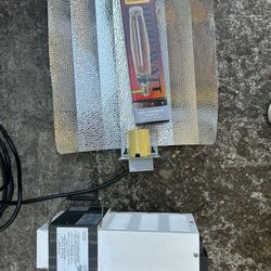 Weed Grow Light Set Up 