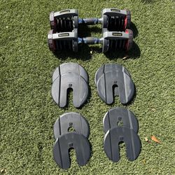 Authentic Bowflex SelectTech Nautilus 552 Series 1 Dumbbell & 8 Weights