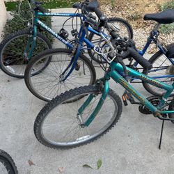 Bicycles For Sale 