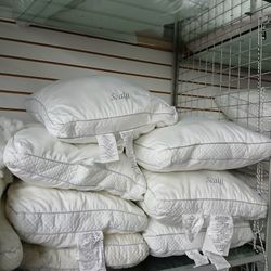 Sealy Pillows 