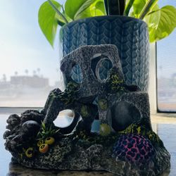 Aquarium Decorations 