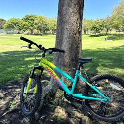 Nishiki Pueblo 20” Kids Mountain Bike – Shimano 7-Speed, Excellent Condition