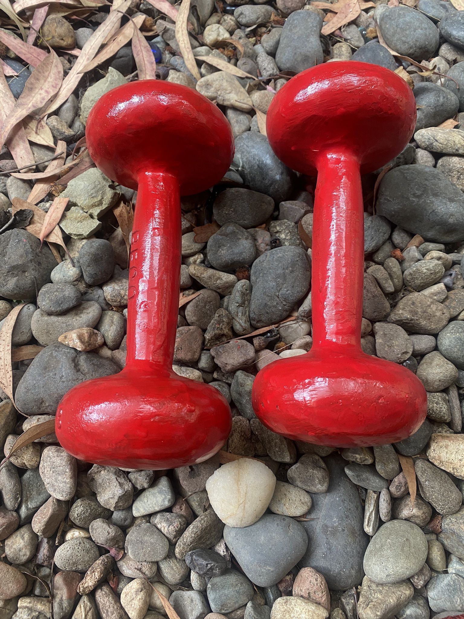 8LBS Iron Dumbbells