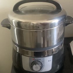 Electric Steammer