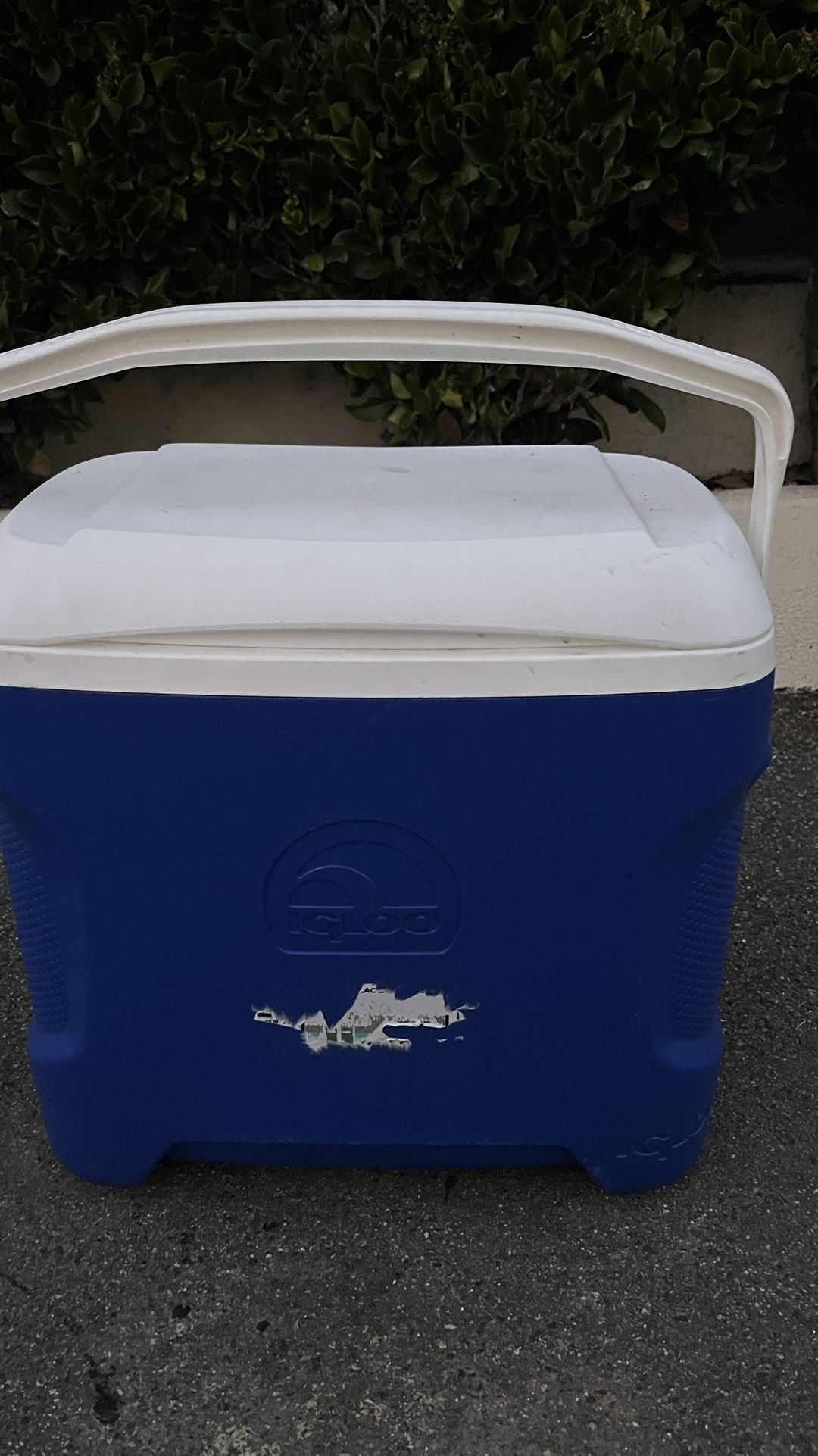 Tall Igloo Cooler