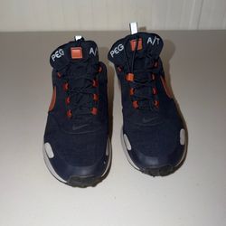 Size 10.5 - Nike Air Pegasus A/T Dark Obsidian Mars Stone