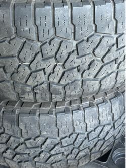Falken wild peak 33s