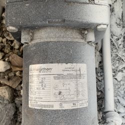 Hayward Pool Pump 