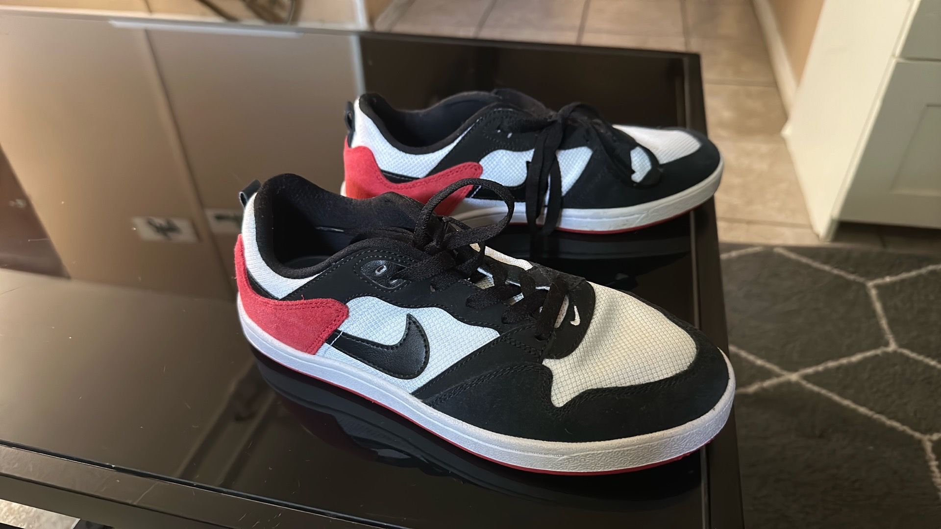 Nike SB sneakers