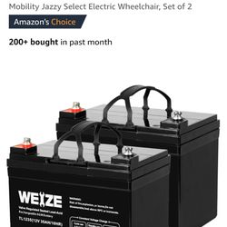 Power Wheelchair Batteries & Charger 