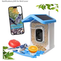 Bird Feeder with Camera