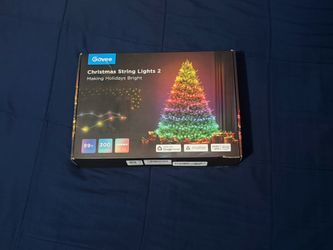 Govee Christmas String Lights 2