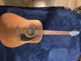 Guitar Seagul Brand