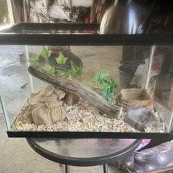 10 Gallon Snake/Reptile Terrarium 