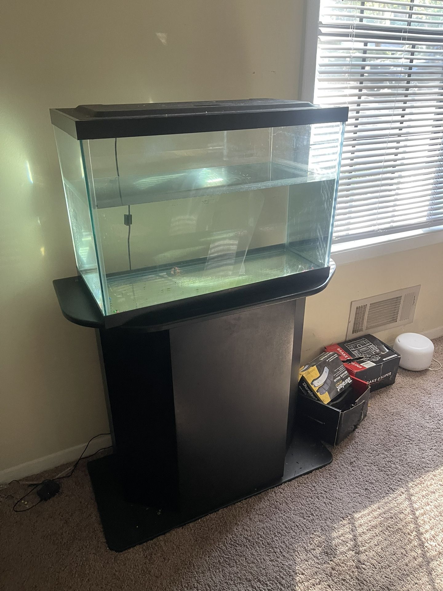 Fish Tank With Stand 20 G