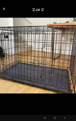 Large dog  crate