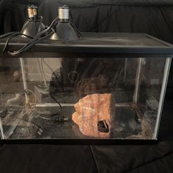 20 Gallon Tank