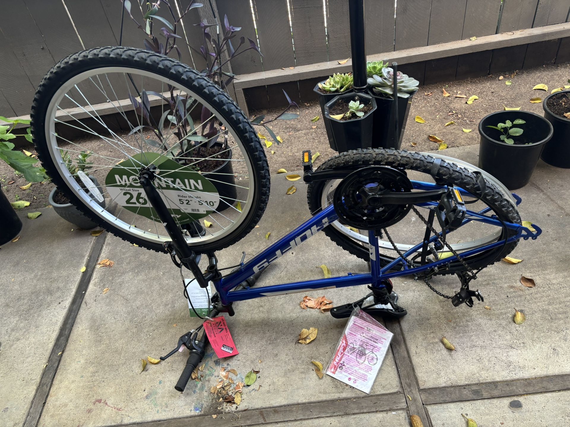 Bike