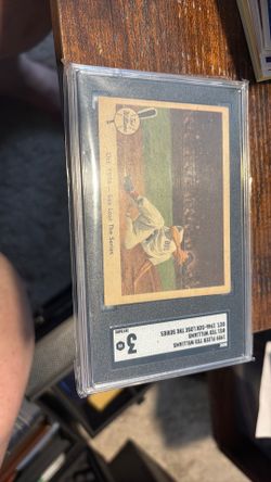 TED WILLIAMS