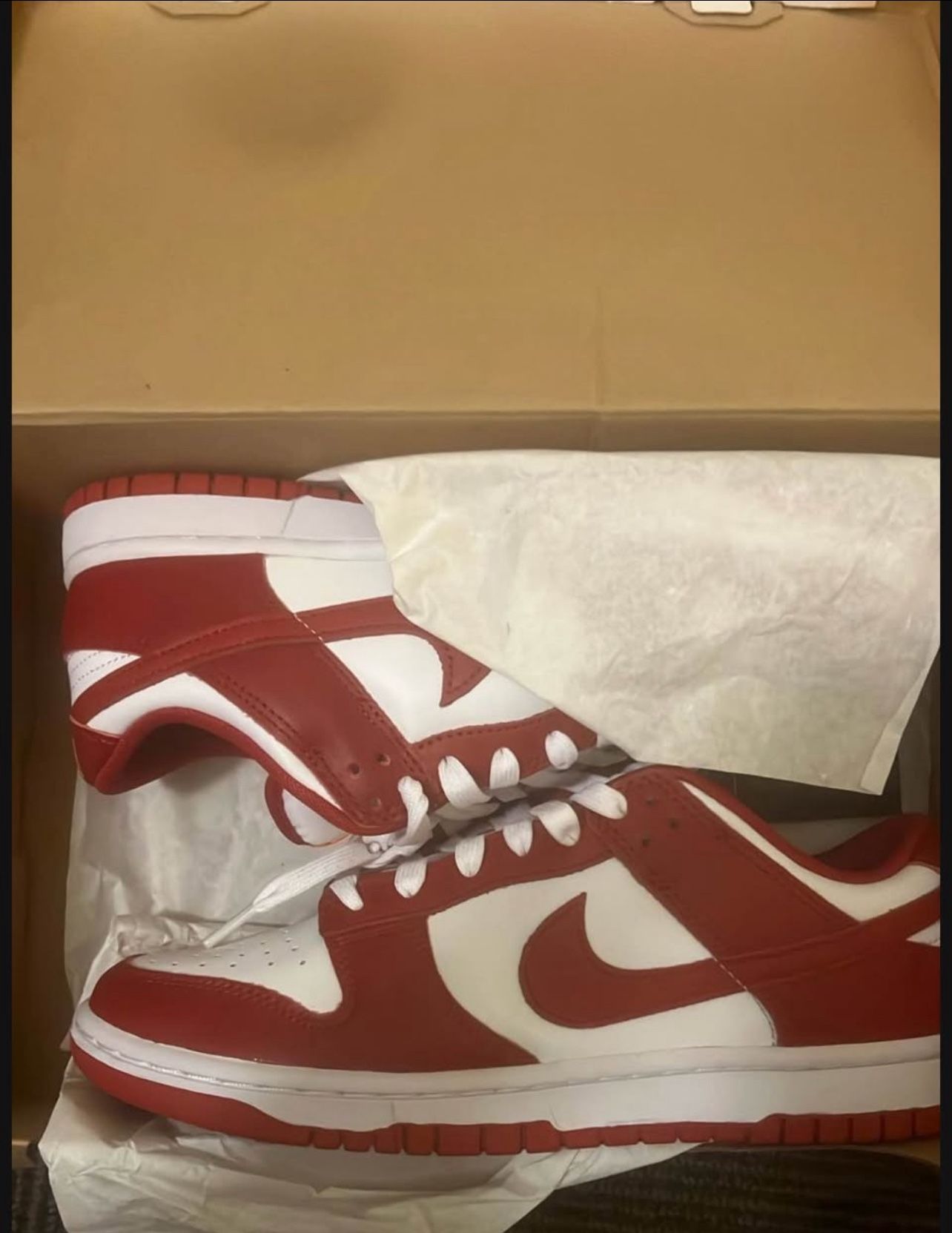 USC Nike Dunks