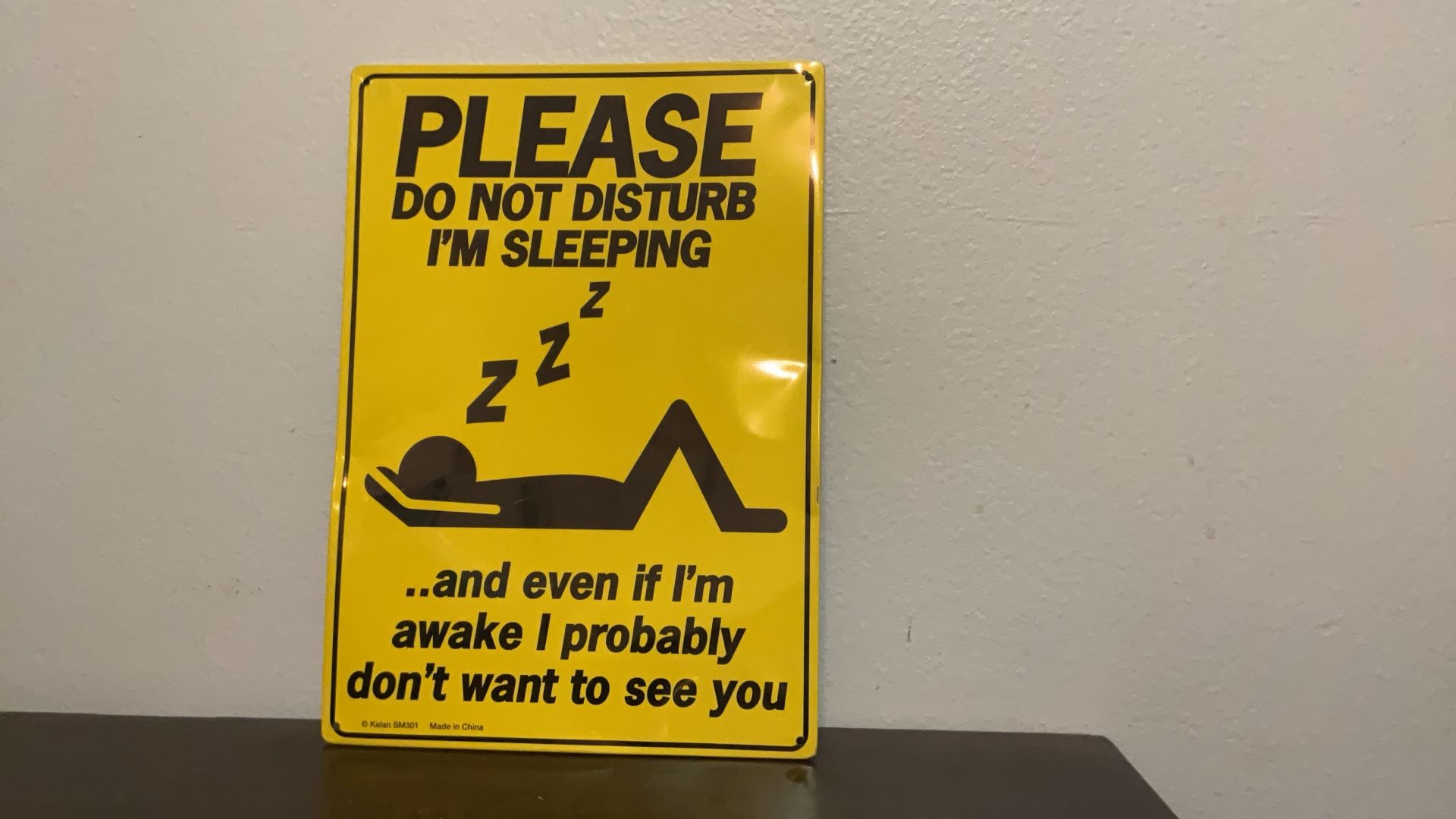 Please Do Not Disturb Sign