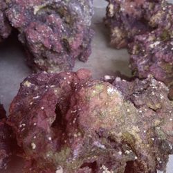 Live Rock, Recovered Coral, Fossils And More