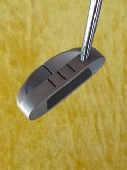 Warrior Custom Golf mallet putter