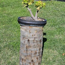 PLANT STANDS/ GARDEN DECORATION