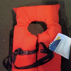 Life vest