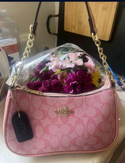 Terri Coach bag