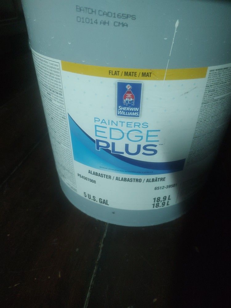 ((((( 5 Gollon Paint)))))