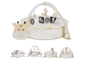 Baby play gym