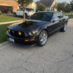 Mustang 