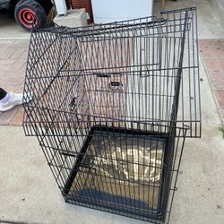 Cage $50