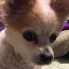 Annette