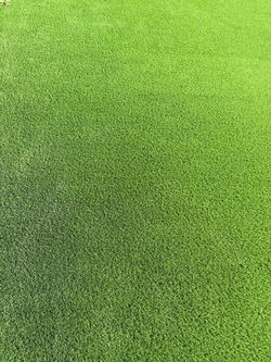 Artificial grass