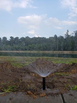 Sprinklers/ grass installed