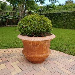 Flower Pot, Brown, Big