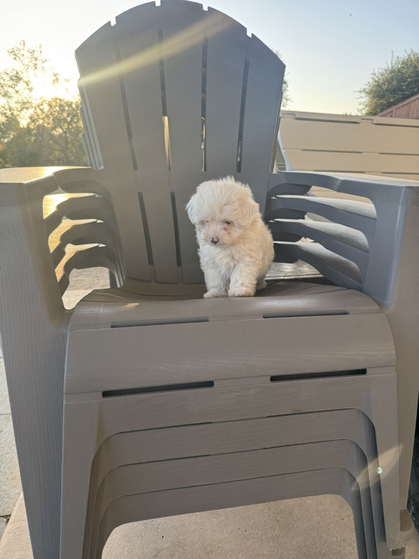 Chair