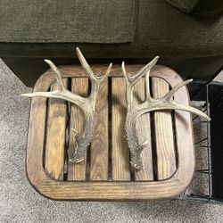 Matching Set Of Deer Horns in Great Condition 