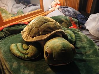 Giant Turtle