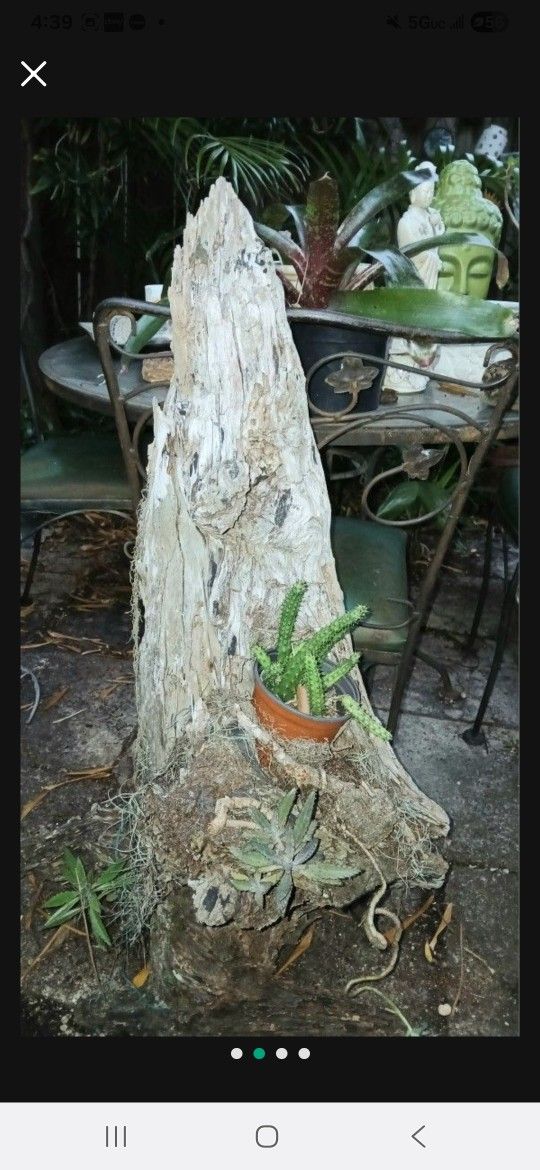 Large Driftwood 40" For Pets, Orchids