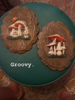 Do you have shroom for these? Vintage 1970s Sculpted Foam 3-D Mushroom Wall Hangings: