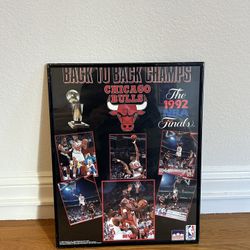 Chicago Bulls Poster
