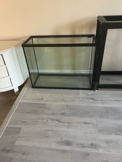 40 gallon fish tank with a ton of accessories