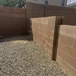 Tomato garden steaks